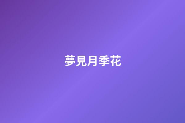 夢見月季花