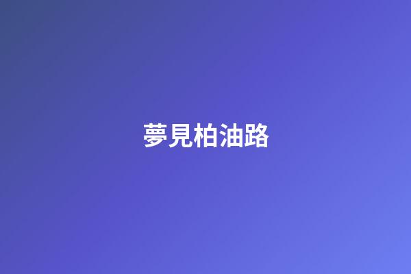 夢見柏油路