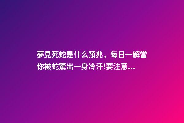夢見死蛇是什么預兆，每日一解當你被蛇驚出一身冷汗!要注意了!-第1張-觀點-玄機派