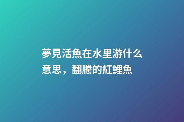 夢見活魚在水里游什么意思，翻騰的紅鯉魚-第1張-觀點-玄機派