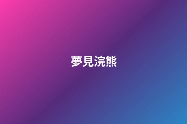 夢見浣熊