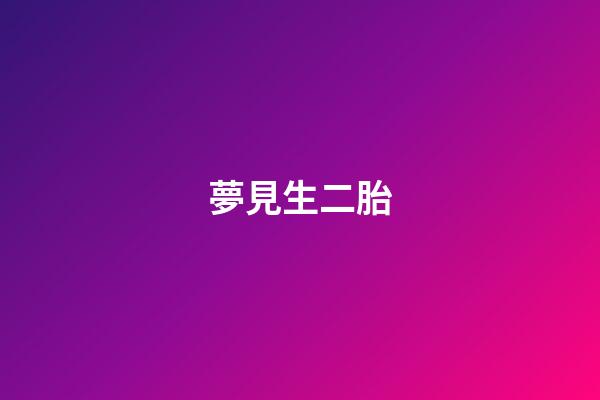 夢見生二胎