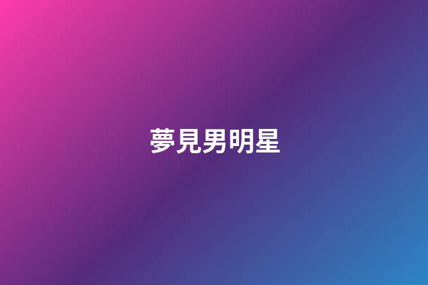 夢見男明星
