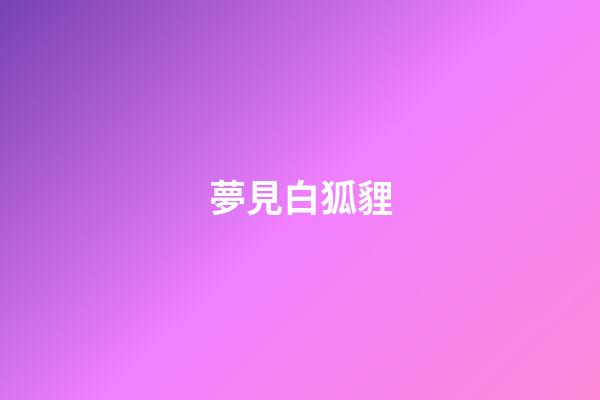 夢見白狐貍