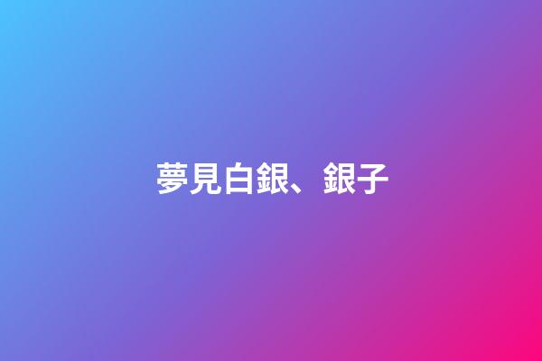 夢見白銀、銀子