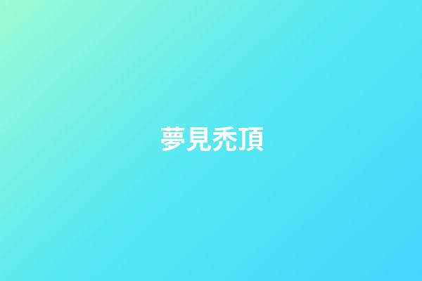 夢見禿頂
