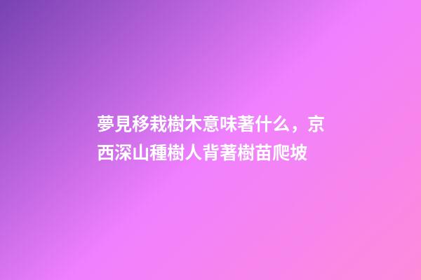 夢見移栽樹木意味著什么，京西深山種樹人背著樹苗爬坡-第1張-觀點-玄機派