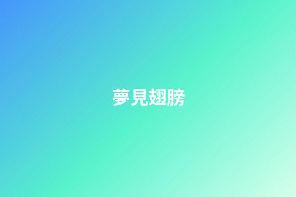 夢見翅膀