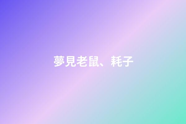 夢見老鼠、耗子
