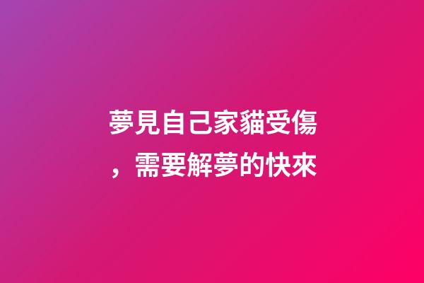 夢見自己家貓受傷，需要解夢的快來-第1張-觀點-玄機派