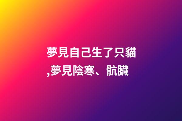 夢見自己生了只貓,夢見陰寒、骯臟-第1張-觀點-玄機派