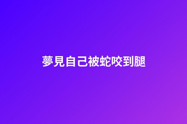 夢見自己被蛇咬到腿