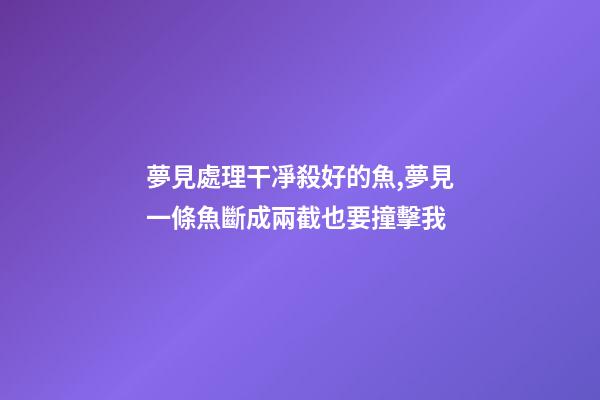 夢見處理干凈殺好的魚,夢見一條魚斷成兩截也要撞擊我-第1張-觀點-玄機派