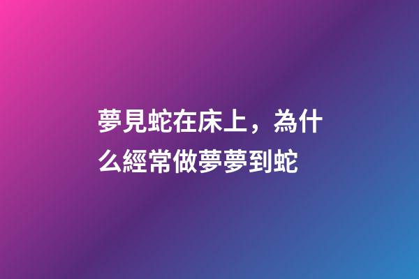 夢見蛇在床上，為什么經常做夢夢到蛇-第1張-觀點-玄機派