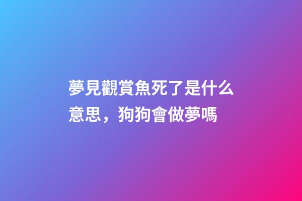 夢見觀賞魚死了是什么意思，狗狗會做夢嗎-第1張-觀點-玄機派