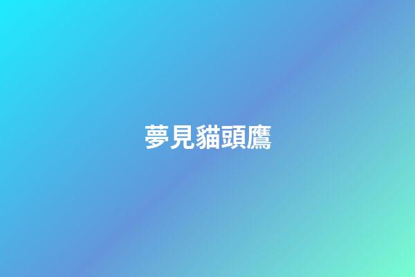 夢見貓頭鷹