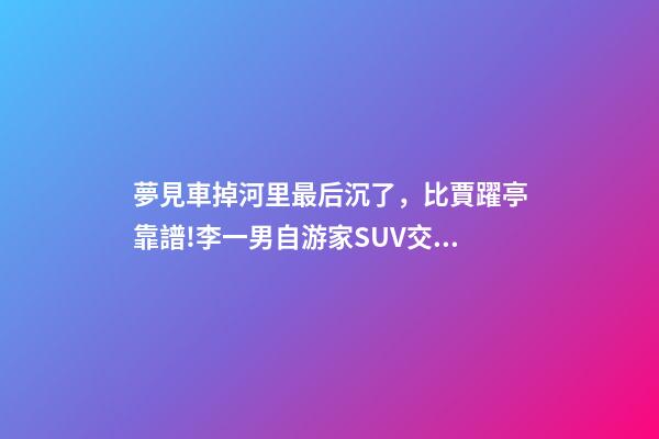 夢見車掉河里最后沉了，比賈躍亭靠譜!李一男自游家SUV交付失敗退款+補償-第1張-觀點-玄機派