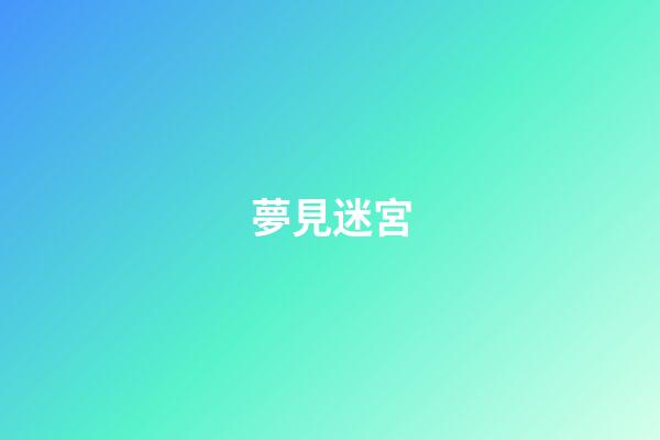 夢見迷宮