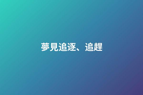 夢見追逐、追趕
