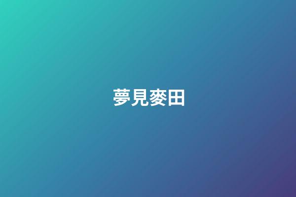 夢見麥田