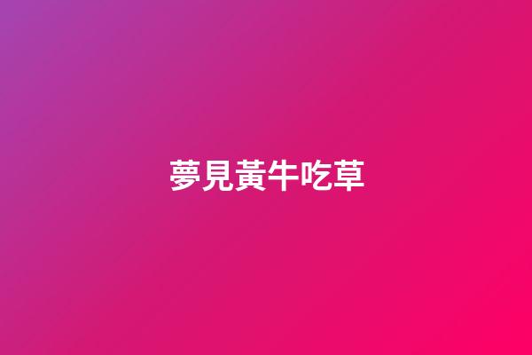 夢見黃牛吃草
