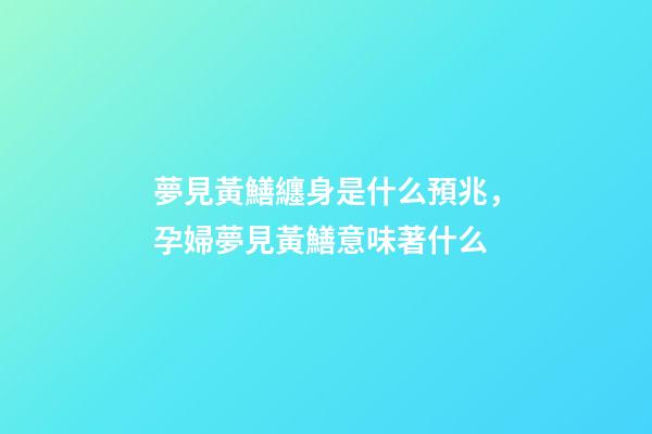 夢見黃鱔纏身是什么預兆，孕婦夢見黃鱔意味著什么