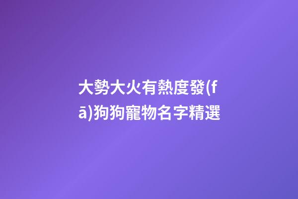 大勢大火有熱度發(fā)狗狗寵物名字精選