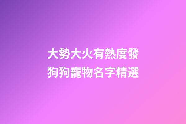 大勢大火有熱度發狗狗寵物名字精選