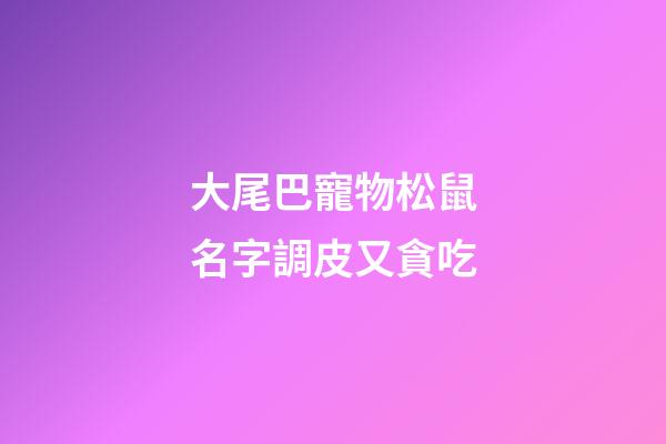 大尾巴寵物松鼠名字調皮又貪吃