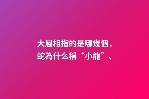 大屬相指的是哪幾個，蛇為什么稱“小龍”、