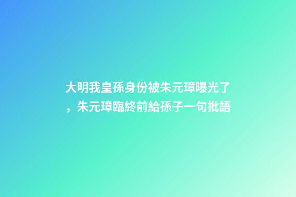 大明我皇孫身份被朱元璋曝光了，朱元璋臨終前給孫子一句批語-第1張-觀點-玄機派
