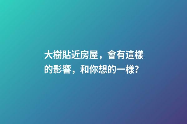 大樹貼近房屋，會有這樣的影響，和你想的一樣？