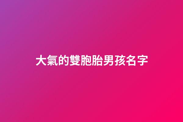 大氣的雙胞胎男孩名字(100個好聽雙胞胎男孩名字)-第1張-男孩起名-玄機派