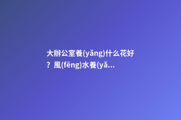 大辦公室養(yǎng)什么花好？風(fēng)水養(yǎng)人聚財