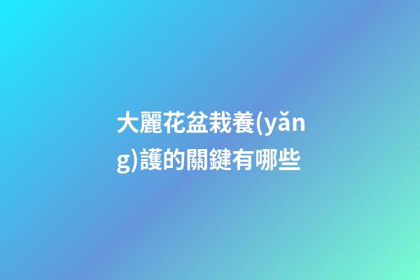 大麗花盆栽養(yǎng)護的關鍵有哪些