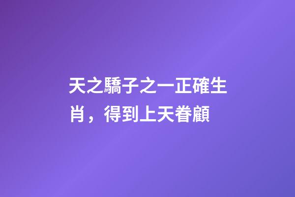 天之驕子之一正確生肖，得到上天眷顧-第1張-觀點-玄機派