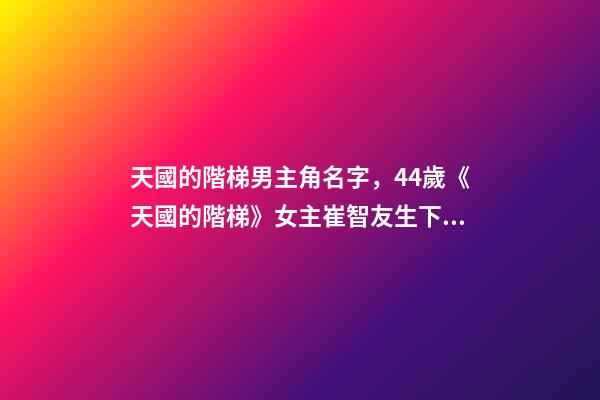 天國的階梯男主角名字，44歲《天國的階梯》女主崔智友生下一女-第1張-觀點-玄機派