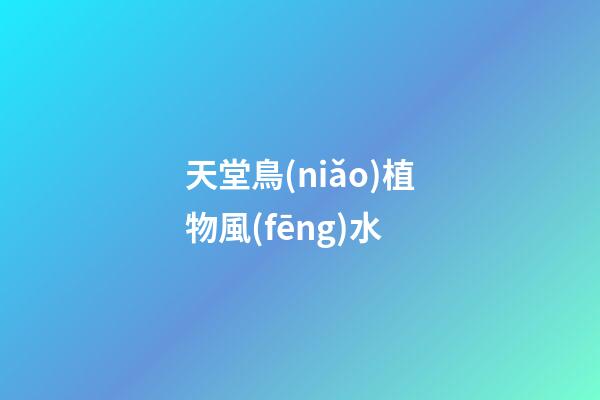 天堂鳥(niǎo)植物風(fēng)水