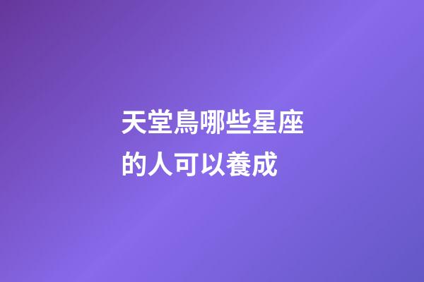 天堂鳥哪些星座的人可以養成-第1張-星座運勢-玄機派