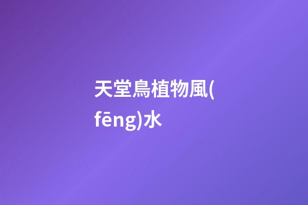 天堂鳥植物風(fēng)水
