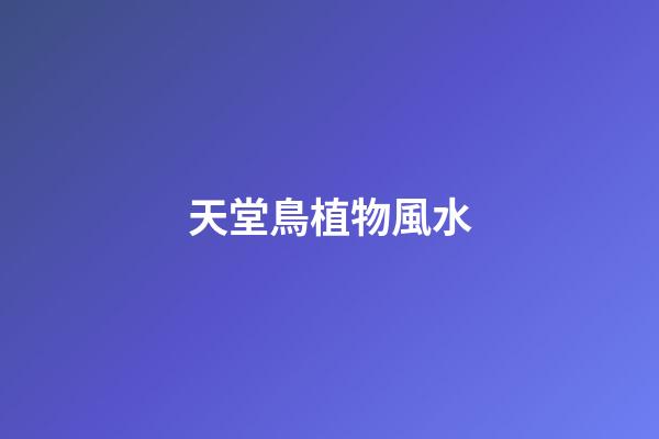 天堂鳥植物風水