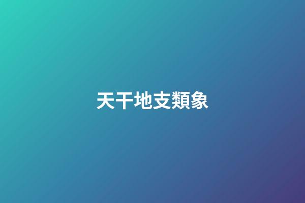 天干地支類象