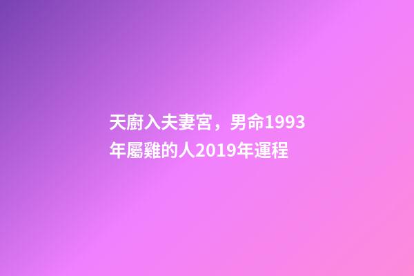 天廚入夫妻宮，男命1993年屬雞的人2019年運程