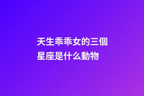 天生乖乖女的三個星座是什么動物-第1張-星座運勢-玄機派