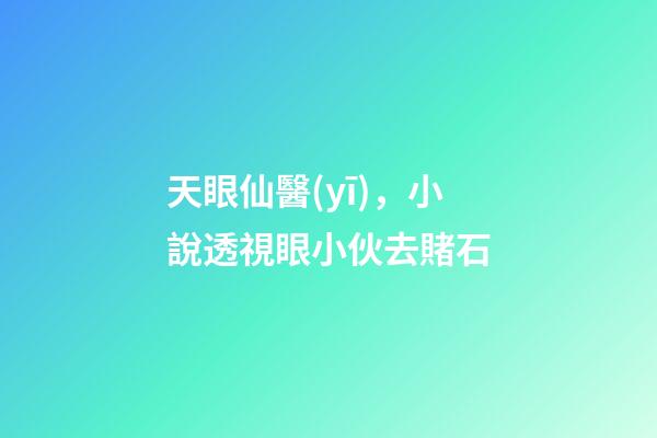 天眼仙醫(yī)，小說透視眼小伙去賭石-第1張-觀點-玄機派