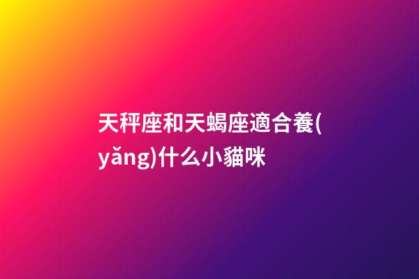 天秤座和天蝎座適合養(yǎng)什么小貓咪