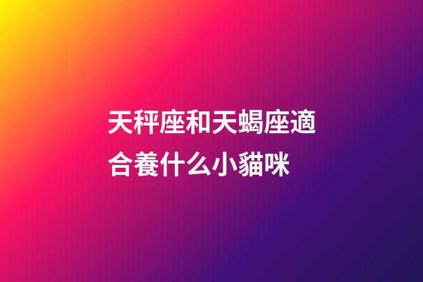 天秤座和天蝎座適合養什么小貓咪-第1張-星座運勢-玄機派