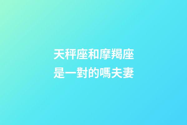天秤座和摩羯座是一對的嗎夫妻-第1張-星座運勢-玄機派