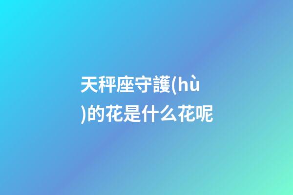 天秤座守護(hù)的花是什么花呢