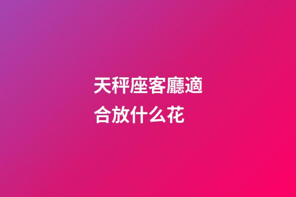 天秤座客廳適合放什么花